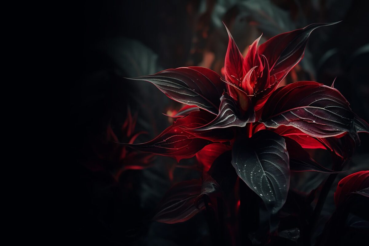 Home blog skin zinest 02 1200x800